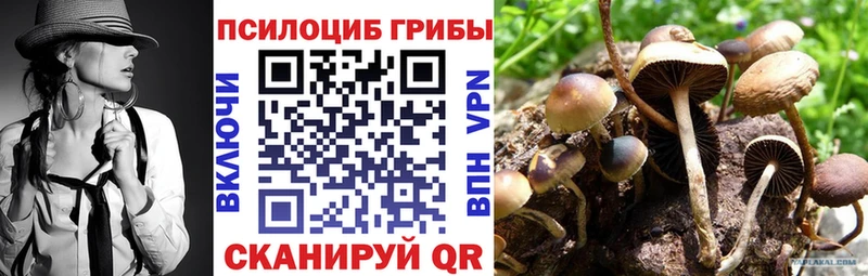 Псилоцибиновые грибы Psilocybine cubensis  продажа наркотиков  Мариинск 