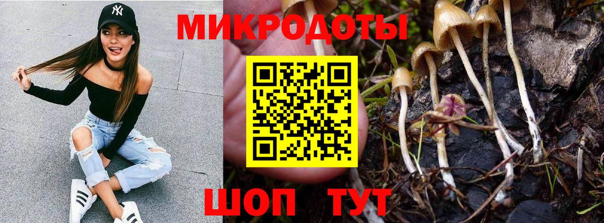 Галлюциногенные грибы мицелий Мариинск