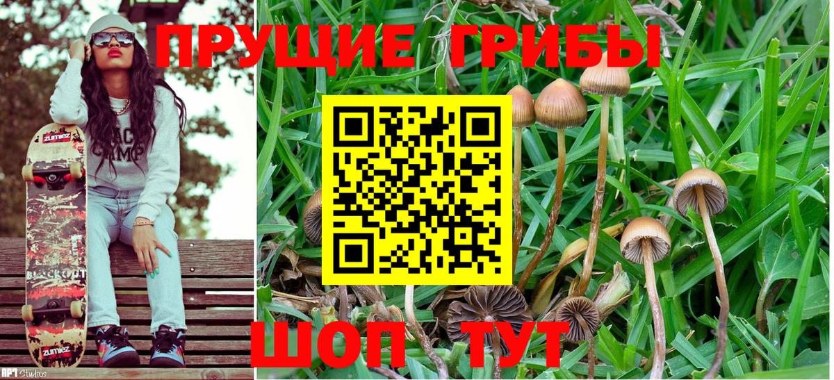 Псилоцибиновые грибы мухоморы  Галлюциногенные грибы Cubensis  Мариинск  Вход с VPN 